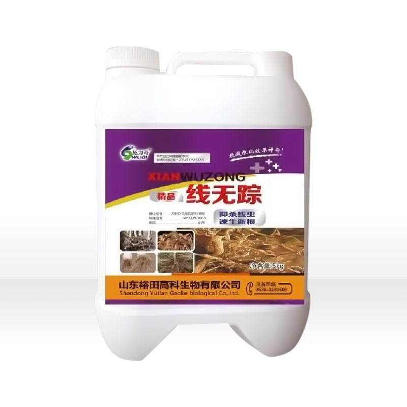 線無(wú)蹤